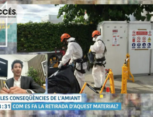 IB3 se hace eco del trabajo de ACCÉS